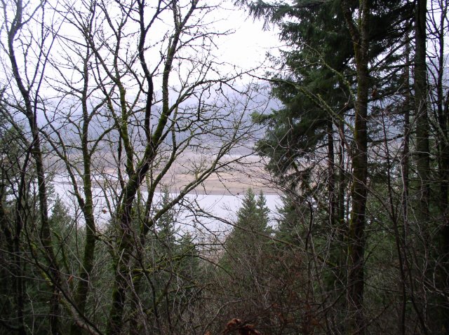 12.23.05 Elowah Falls 025 